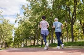 一日四赛全胜 樊振东斩获“留洋”首冠