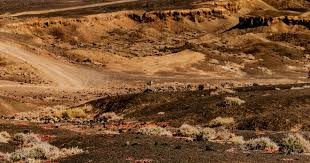 [流言板]剑南春战报：切尔西4-0南安普顿，内托、恩昆库双双传射25亮37回复